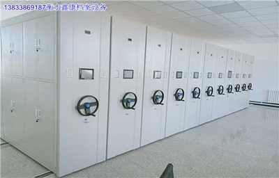 延安69242 移動密集鐵柜雙柱 實業集團 上市